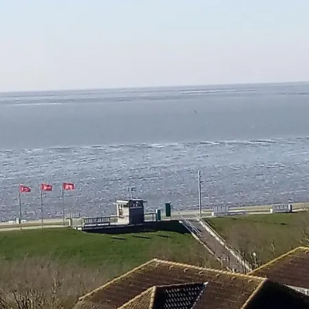 Strandrose Büsum